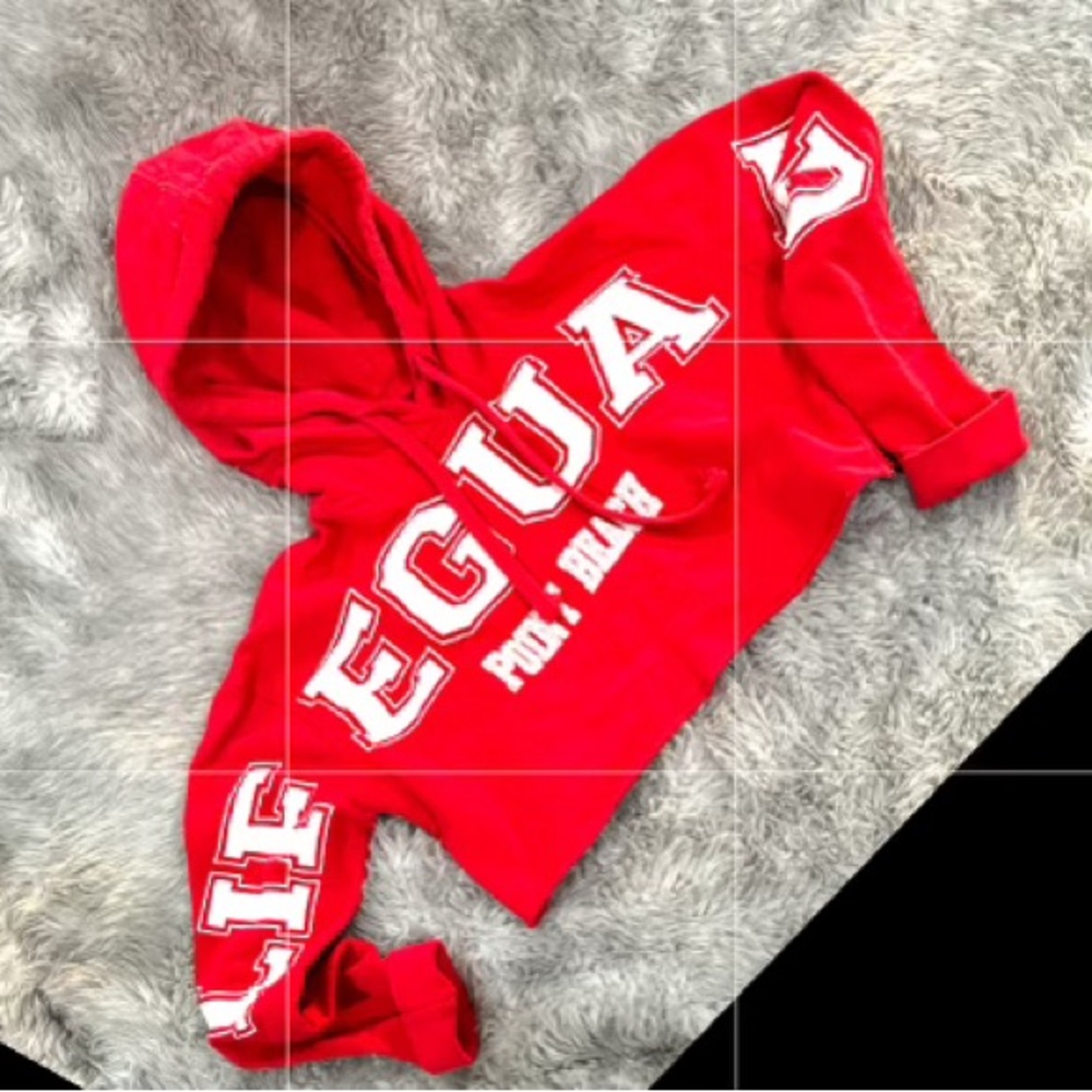 Cropped sweatshirt . Lifeguard logo